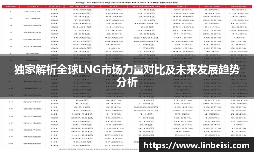独家解析全球LNG市场力量对比及未来发展趋势分析